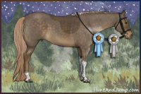 Horse Color:Chocolate Palomino Roan Tobiano Rabicano