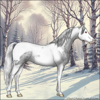 Horse Color:Silver Black Chinchilla Ice Splash Tobiano Rabicano 
