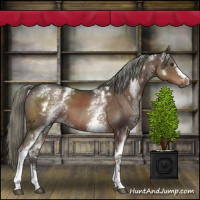 Horse Color:White Spotted Liver Chestnut Mushroom 