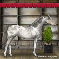 Horse Color:White Spotted Liver Red Dun Ice Mushroom Tobiano Brindle