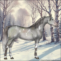 Horse Color:Platinum White Spotted Liver Red Dun 