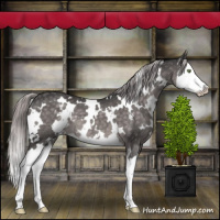 Horse Color:Platinum White Spotted Chocolate Palomino Splash 