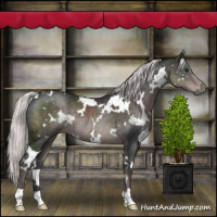 Horse Color:Platinum White Spotted Liver Chestnut Rabicano 