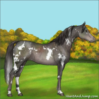 Horse Color:Platinum White Spotted Liver Chestnut 
