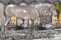 Horse Color:Platinum White Spotted Liver Red Dun 