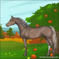 Horse Color:Silver Black 