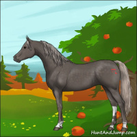 Horse Color:Silver Black 