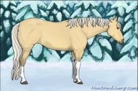 Horse Color:Silver Buckskin Dun Tobiano 