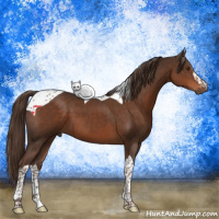 Horse Color:Liver Chestnut Tobiano 