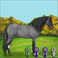 Horse Color:Blue Roan Snowflake Varnish 
