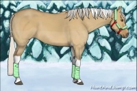 Horse Color:Silver Buckskin Dun Tobiano