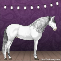 Horse Color:Blue Roan Fewspot 