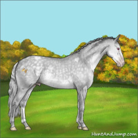 Horse Color:Silver Classic Cream Champagne Chinchilla Dun Rabicano 