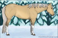 Horse Color:Silver Buckskin Dun Tobiano 