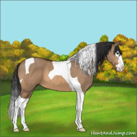 Horse Color:Bay Dun Splash Tobiano