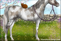 Horse Color:White Spotted Silver Grullo Ice Onyx 