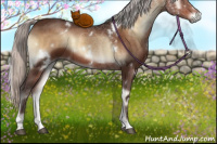 Horse Color:White Spotted Silver Brown Onyx 