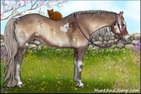 Horse Color:White Spotted Silver Brown Ice Onyx 