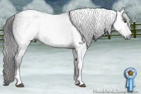 Horse Color:Gray White Spotted Liver Chestnut Tobiano