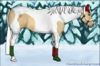 Horse Color:Silver Buckskin Dun Tobiano 