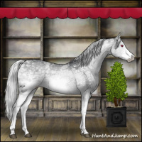 Horse Color:White Spotted Silver Grullo Chinchilla Ice Frame 