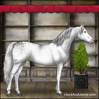 Horse Color:White Spotted Silver Grullo Chinchilla Ice 