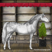 Horse Color:White Spotted Silver Black Chinchilla Ice 