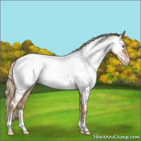Horse Color:Chocolate Palomino Roan Pearl Near Fewspot 