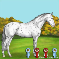 Horse Color:Blue Roan Leopard 