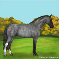 Horse Color:Midnight Smoky Blue Ice Roan Rabicano 