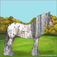 Horse Color:Bay Roan Tobiano Appaloosa Rabicano  and Bay Dun Tobiano Appaloosa Rabicano 