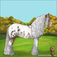 Horse Color:Chocolate Palomino Dun Tobiano Appaloosa Rabicano  and Liver Chestnut Tobiano Appaloosa 