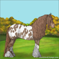 Horse Color:Liver Red Dun Tobiano Appaloosa 