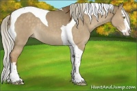 Horse Color:Chocolate Palomino Dun Splash Tobiano Rabicano 