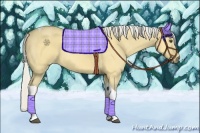 Horse Color:Silver Buckskin Dun Tobiano