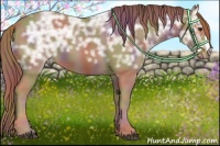 Horse Color:Nacre Chestnut Ice