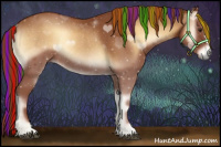 Horse Color:Painted Red Onyx Rabicano 