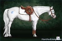 Horse Color:Gray Silver Smoky Blue Roan Pearl Tobiano 