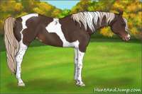 Horse Color:Liver Chestnut Tobiano Varnish 