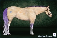 Horse Color:Watercolor White Spotted Buckskin Ice 