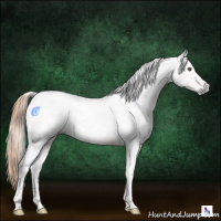 Horse Color:Gray White Spotted Chestnut Tobiano 