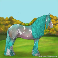 Horse Color:Watercolor White Spotted Brown Sabino Appaloosa 