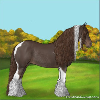 Horse Color:Liver Chestnut Tobiano Rabicano 