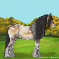 Horse Color:White Spotted Buckskin Ice Roan Onyx 