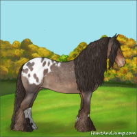 Horse Color:Liver Red Roan Blanket 