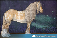 Horse Color:Liver Red Dun Tobiano Appaloosa Rabicano and Chocolate Palomino Dun Sabino Tobiano