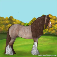 Horse Color:Liver Red Roan Rabicano