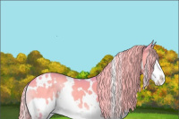 Horse Color:Watercolor White Spotted Chocolate Palomino Onyx Splash