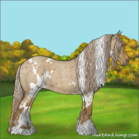 Horse Color:White Spotted Chocolate Palomino Roan Dun 