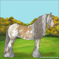 Horse Color:White Spotted Chocolate Palomino Dun 